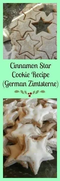 German Zimtsterne Recipe Cinnamon Stars Christmas Cookies