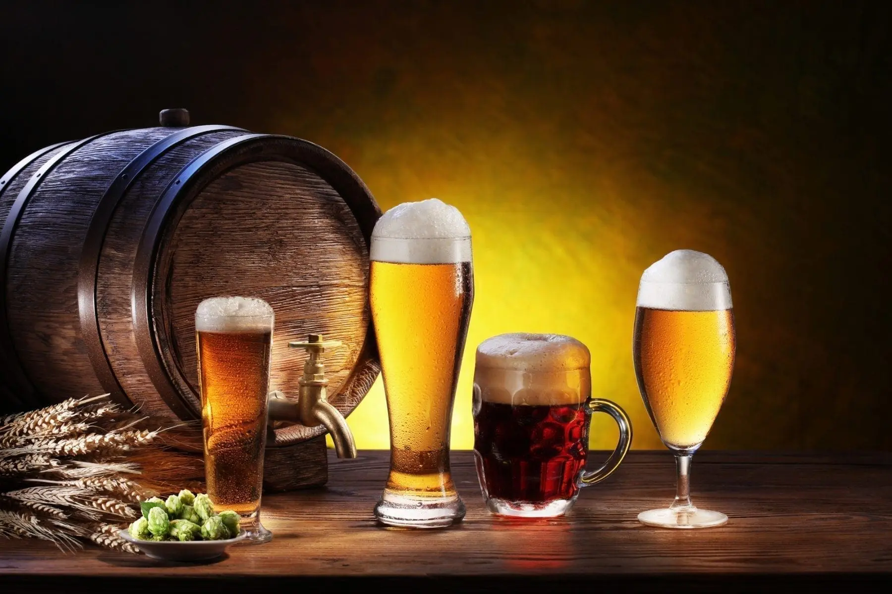 The Complete Guide to Beer Glassware: Understanding Types, Styles, and  Shapes in Simple Terms