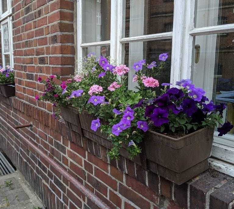 German House Windows Practical Engineering that WORKS