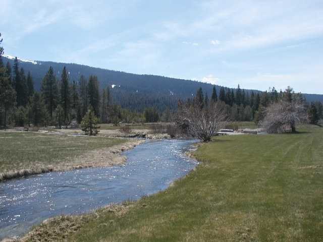 black forest lodge