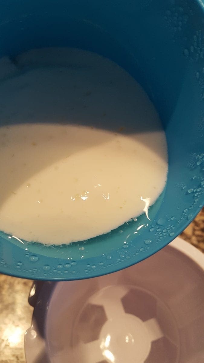 How to Make Quark Make Creamy German Quark with a Yogurt Maker