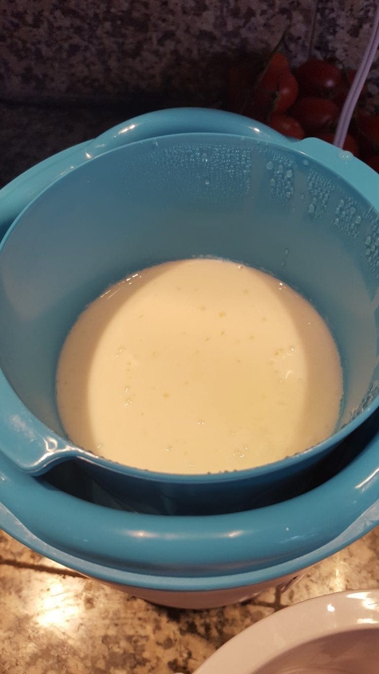 How to Make Quark Make Creamy German Quark with a Yogurt Maker