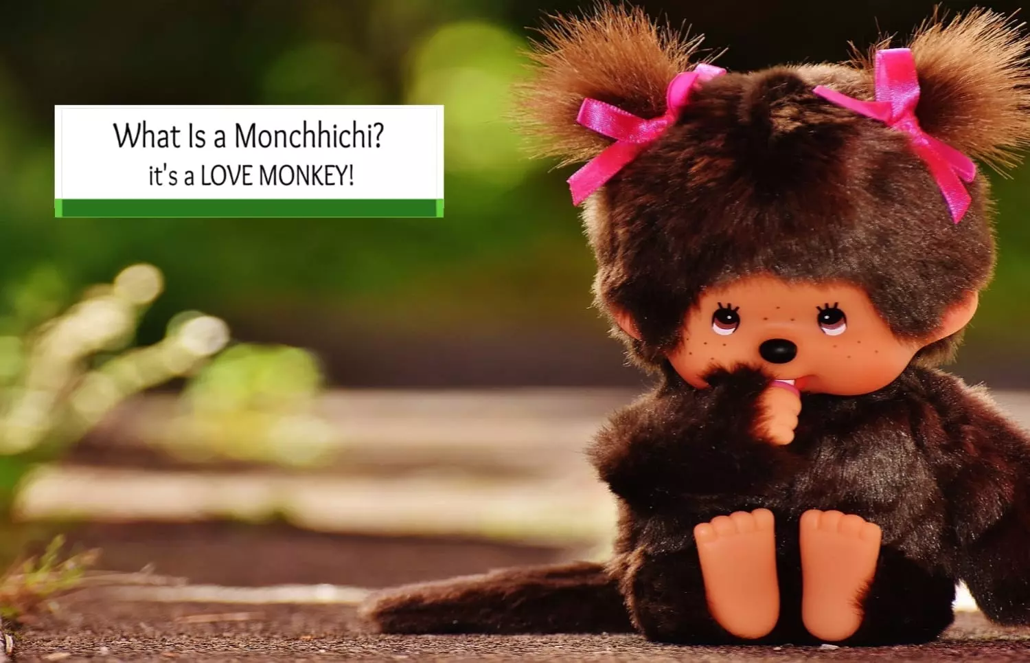 What is a Monchhichi?? It’s a LOVE MONKEY!