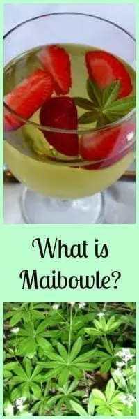 Maibowle Recipes- Enjoy this Refreshing Wine Punch from Germany!