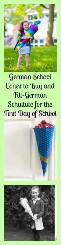 german school cones buy