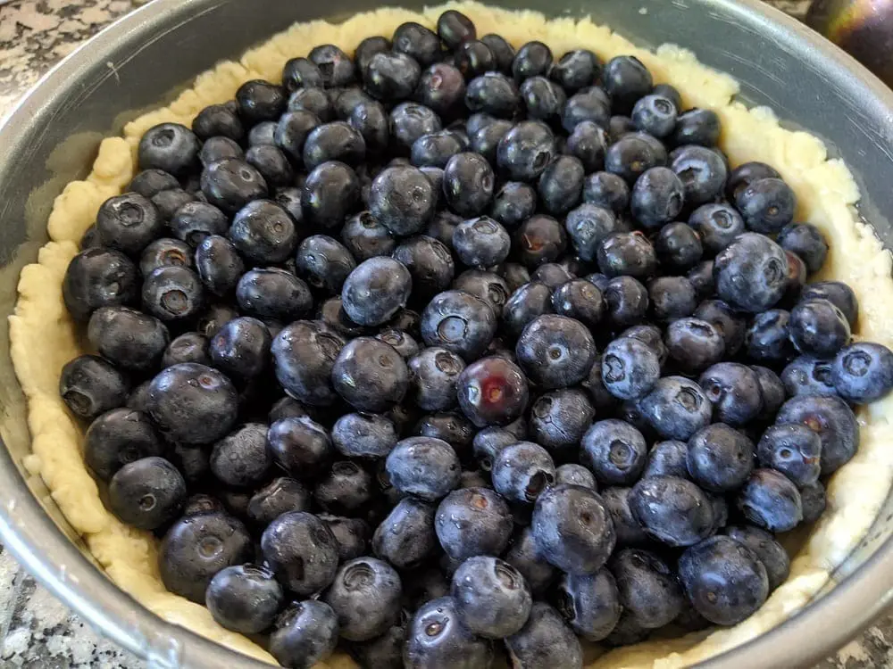 german blueberry cake