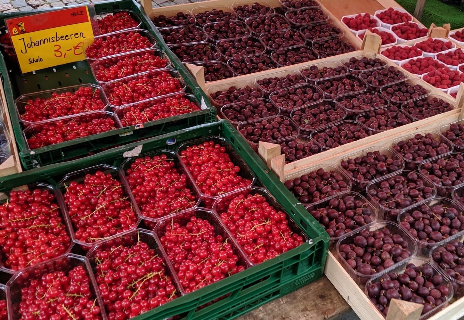 What to do with Red Currants! Recipes and Growing Tips