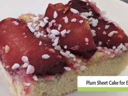 german plum sheet cake recipe for everyday a german girl in america german plum sheet cake recipe