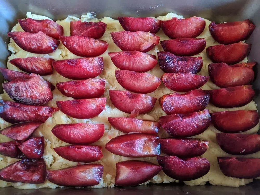 german plum sheet cake recipe