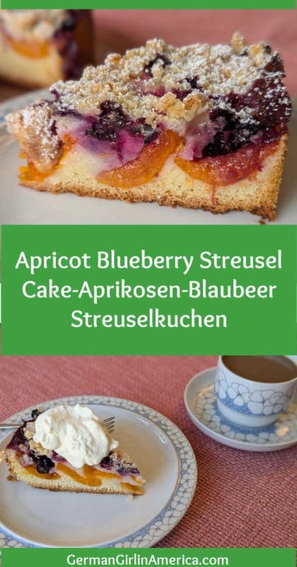 Apricot Blueberry Streusel Cake-Aprikosen-Blaubeer Streuselkuchen