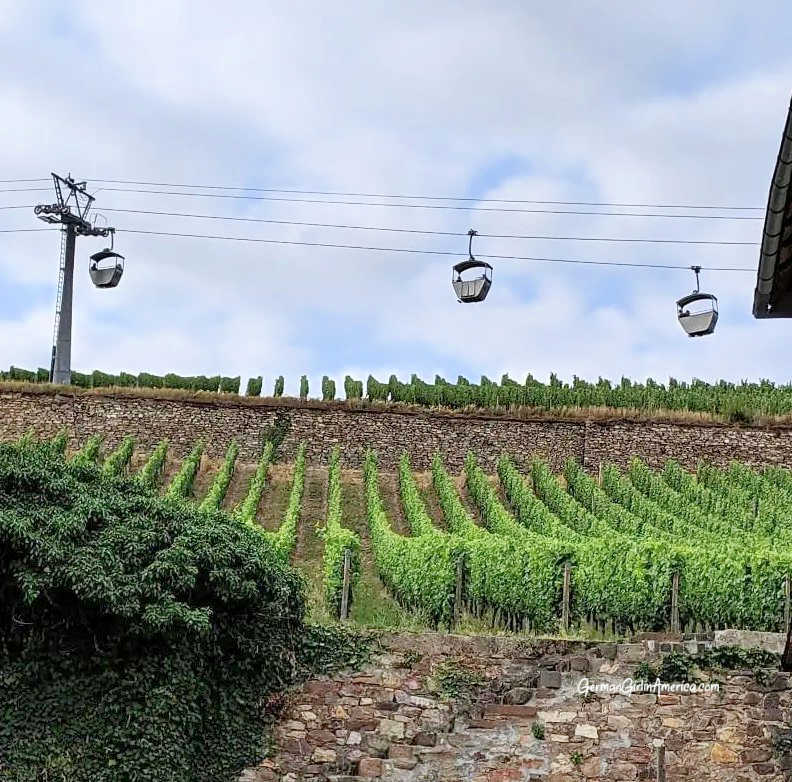 visit rüdesheim
