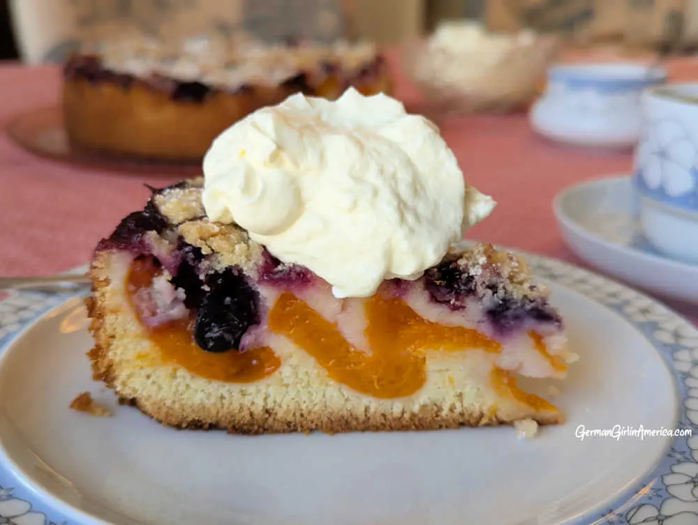 Apricot Blueberry Streusel Cake-Aprikosen-Blaubeer Streuselkuchen