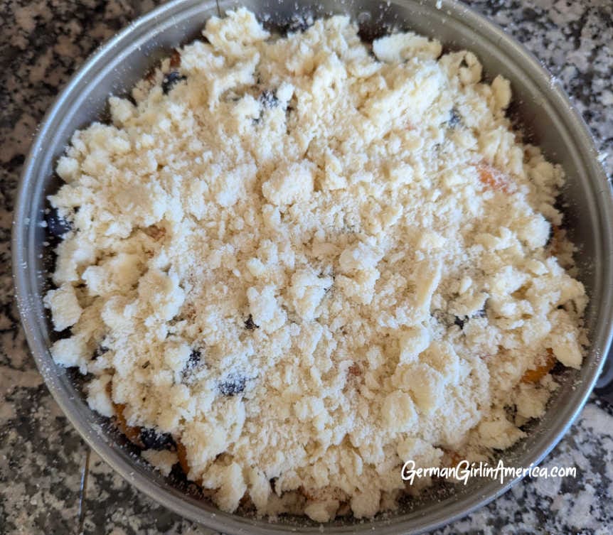 Apricot Blueberry Streusel Cake-Aprikosen-Blaubeer Streuselkuchen