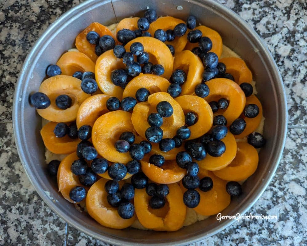 Apricot Blueberry Streusel Cake-Aprikosen-Blaubeer Streuselkuchen