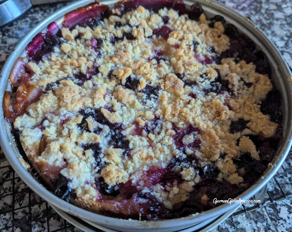 Apricot Blueberry Streusel Cake-Aprikosen-Blaubeer Streuselkuchen