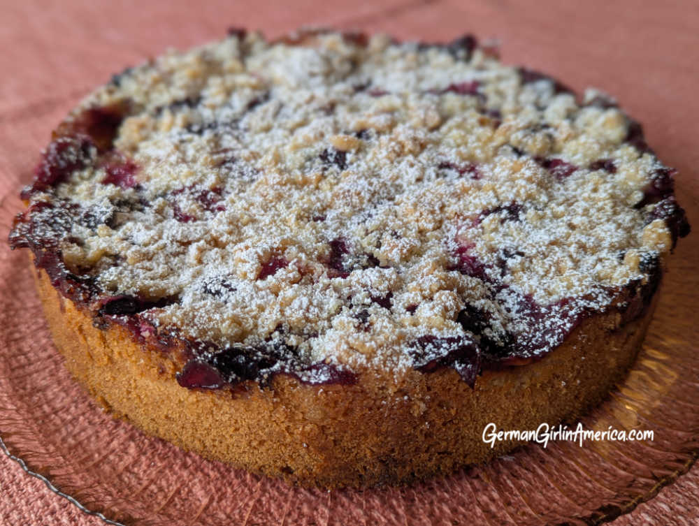 Apricot Blueberry Streusel Cake-Aprikosen-Blaubeer Streuselkuchen