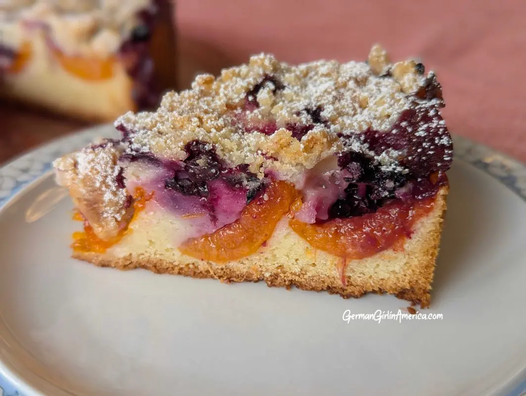 Apricot Blueberry Streusel Cake-Aprikosen-Blaubeer Streuselkuchen