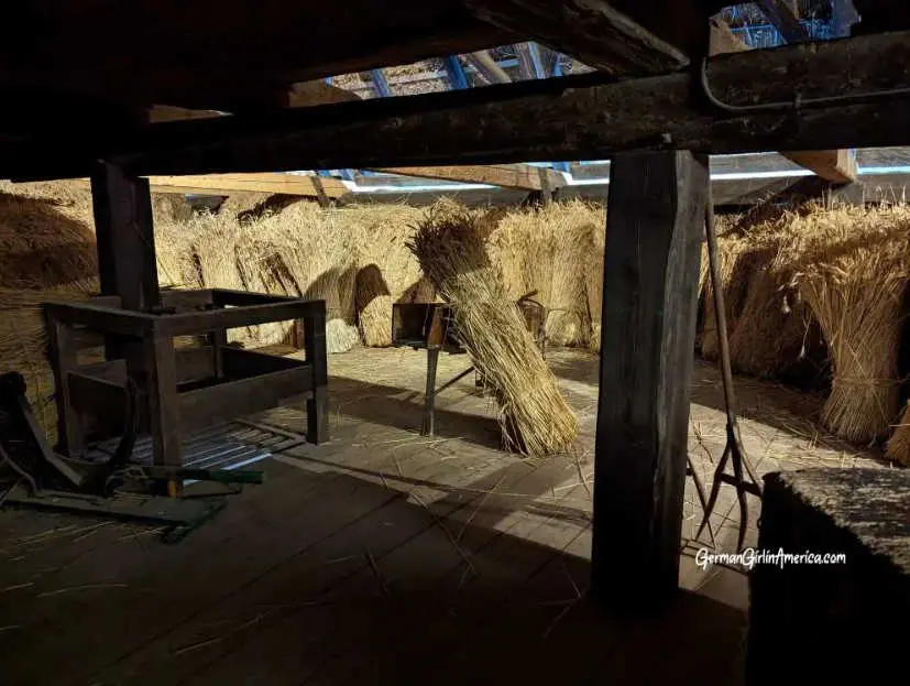 black forest museum