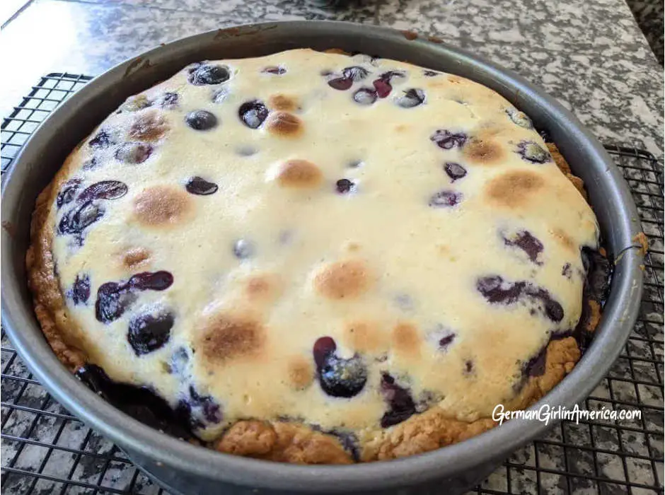 German blueberry cheesecake