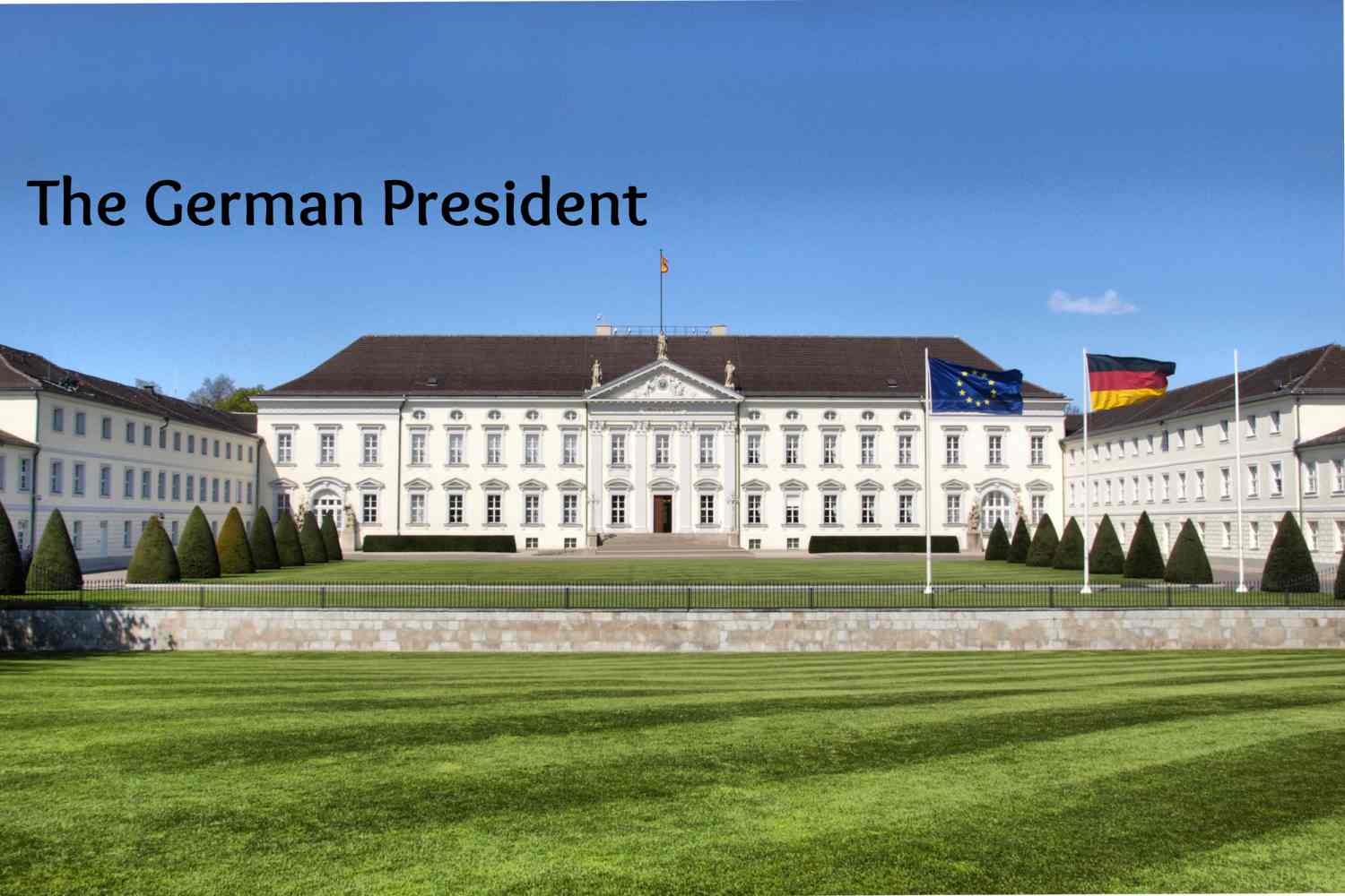 The German President- What do they do? How are they elected?