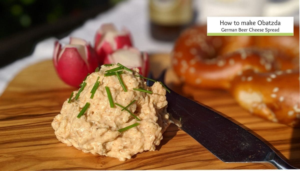 Homemade Limburger Cheese Spread Recipe Home Alqu