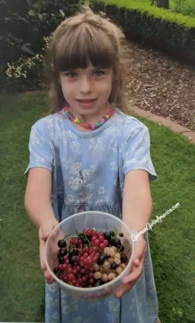 currants