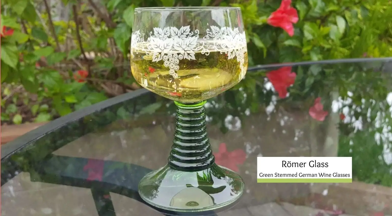 Roemer Glass- Green Stemmed German Wine Glasses