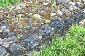 Roman Limes in Germany - Borders of the Roman Frontier