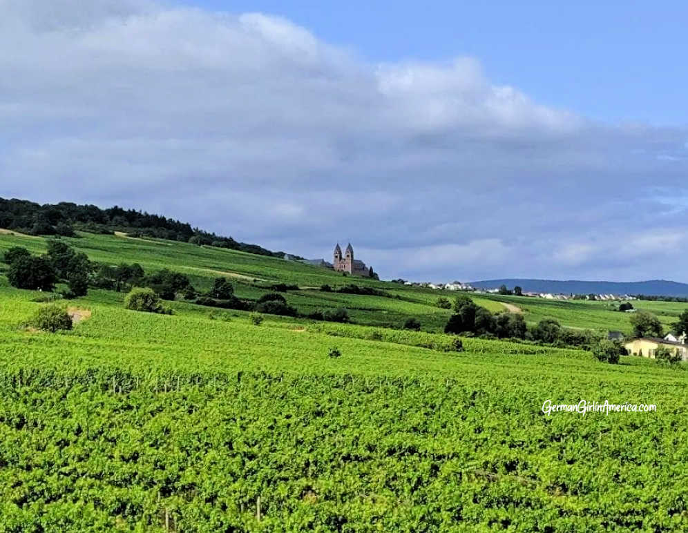 visit Rüdesheim