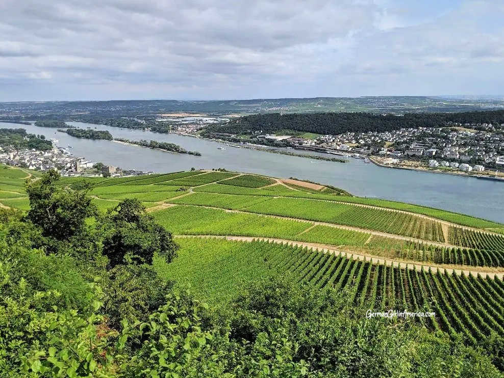visit rüdesheim