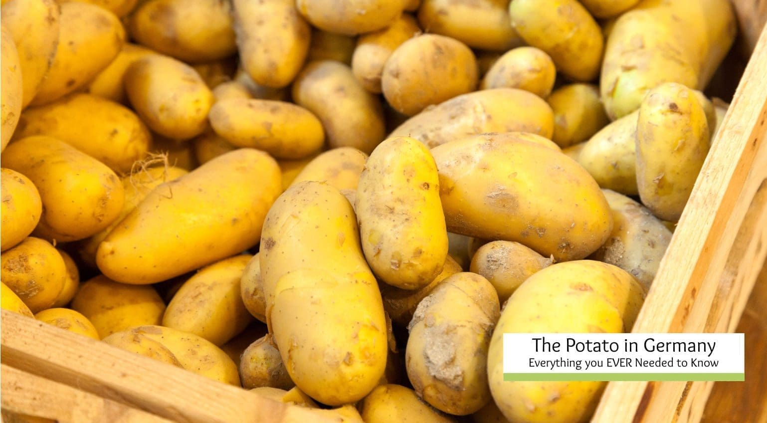 The Potato in Germany- From Erd-Apfel to Kartoffel