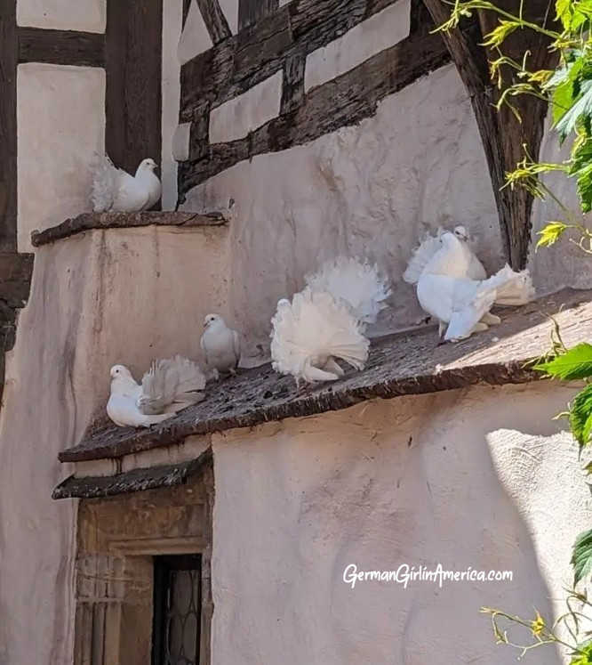 Visit the Wartburg Eisenach